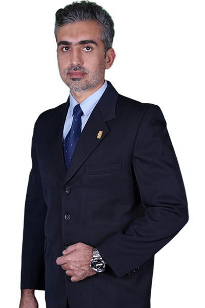 حامد حسنی